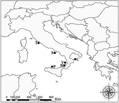 Integrative Taxonomy Reveals Molicola uncinatus and Gymnorhynchus gigas (Cestoda: Trypanorhyncha) Coinfection in the Atlantic Pomfret Brama brama From the Mediterranean Sea, With Notes on the Phylogenetic Position of G. gigas Within the Family Gymnorhynchidae